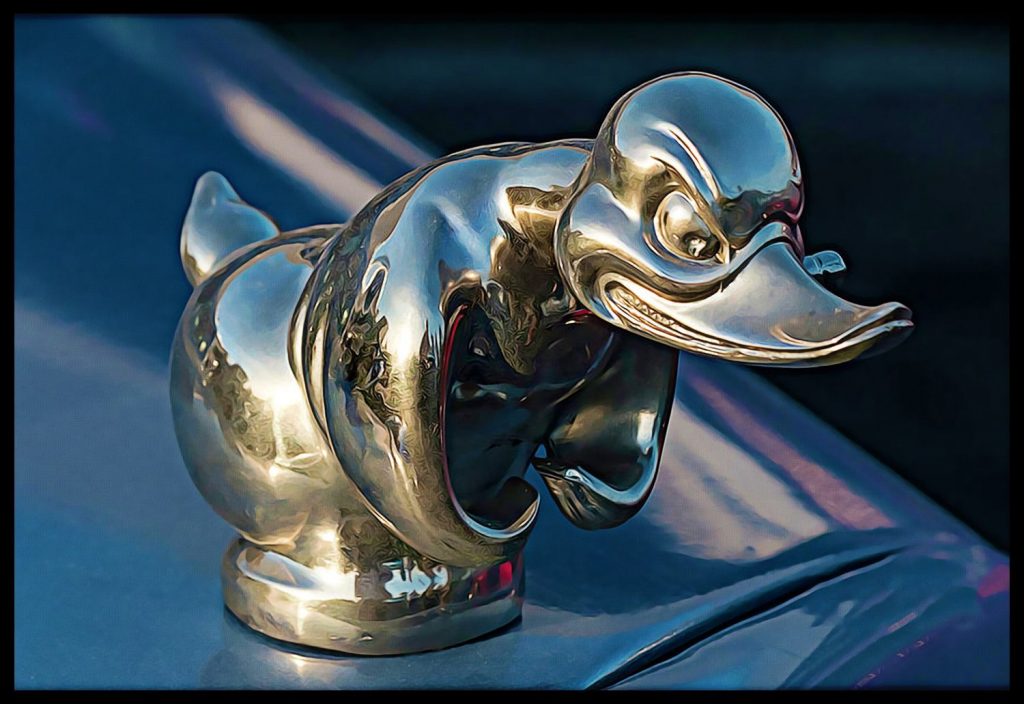 rubber duck hood ornament canvas Rustypod Store